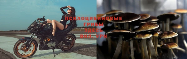 гашишное масло Богданович