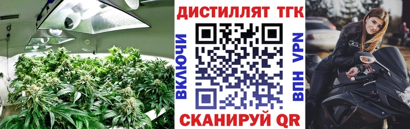 ТГК вейп  OMG вход  Мураши  дарк нет формула  сколько стоит 